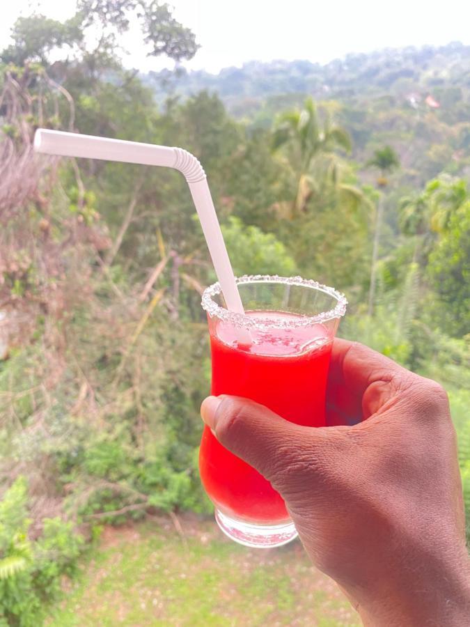 Bed and Breakfast Happy Feet Diyaluma Koslanda Esterno foto